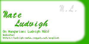 mate ludvigh business card